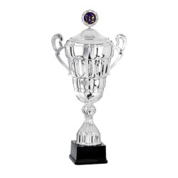 Coupe Personnalisée de 46 cm - Grand choix de sports