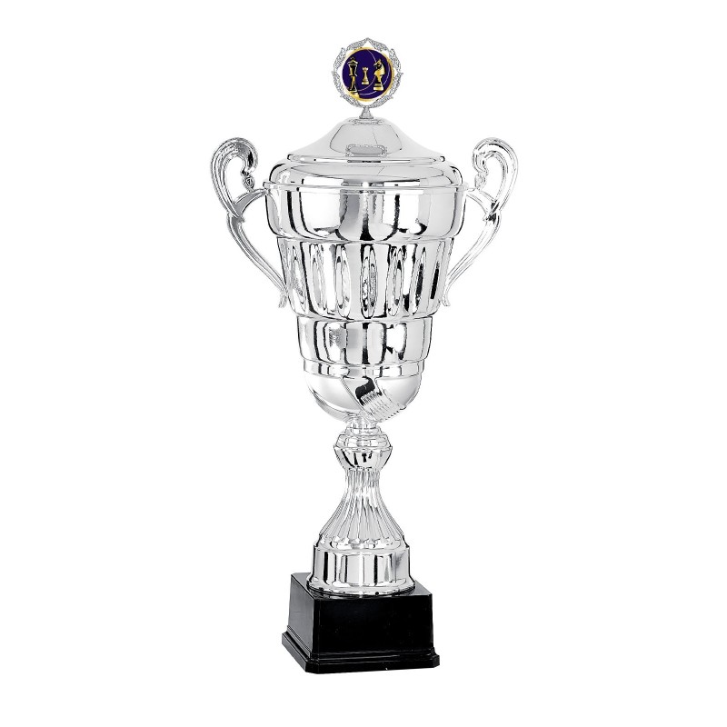 Coupe Personnalisée de 46 cm - Grand choix de sports