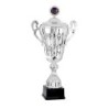 Coupe Personnalisée de 46 cm - Grand choix de sports