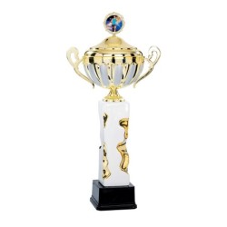 Coupe Personnalisée de 50 cm - Grand choix de sports
