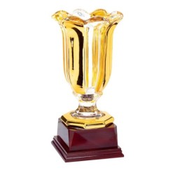 Coupe "Prestige" en Verre de 41 cm -Clubs de sport !