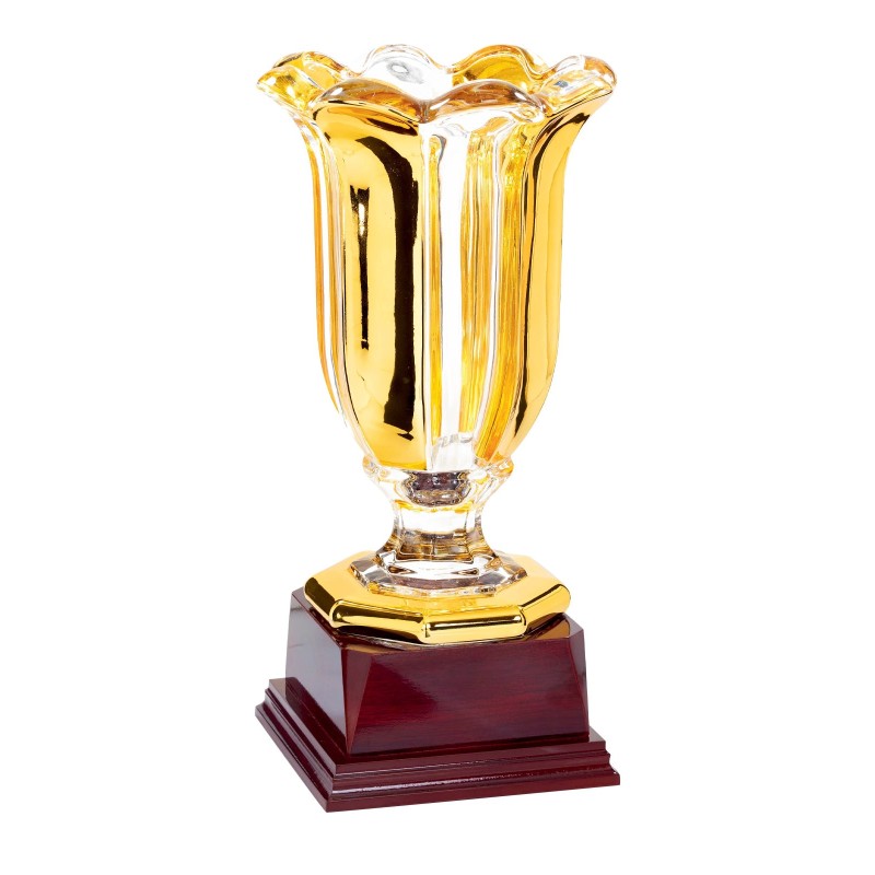 Coupe "Prestige" en Verre de 41 cm -Clubs de sport !