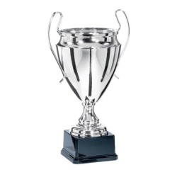 Coupe "Prestige" 100% Métal  - 33 cm -Clubs de sport !