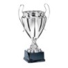 Coupe "Prestige" 100% Métal  - 33 cm -Clubs de sport !