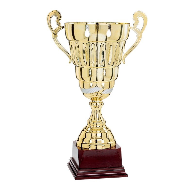 Coupe "Prestige" 100% Métal (40 cm) - Qualité professionnelle