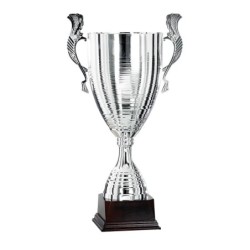 Coupe "Prestige" 100% Métal  - 53 cm -Clubs de sport !
