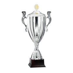 Coupe Personnalisée de 63 cm - Grand choix de sports
