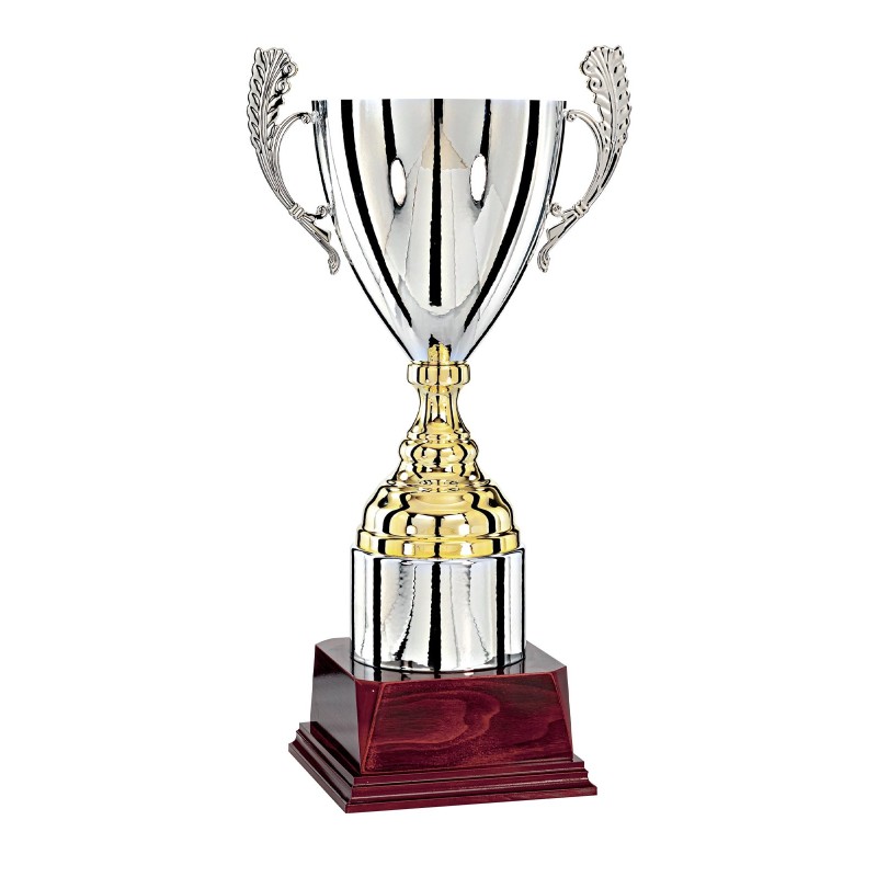 Coupe "Prestige" 100% Métal (49 cm) - Qualité professionnelle
