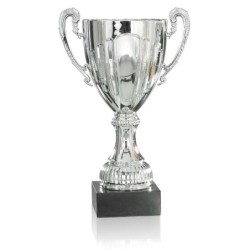 Déstockage à -50%  (coupe 24 cm) -