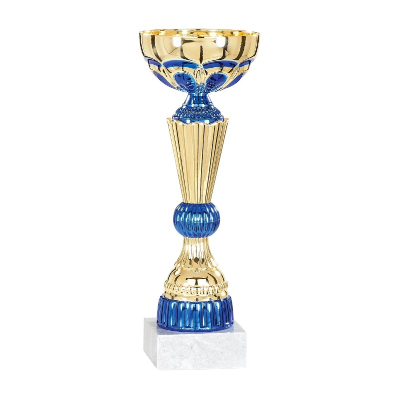 Coupe 21 cm, Déstockage à -45%