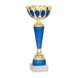Coupe 24 cm, Déstockage à -40%