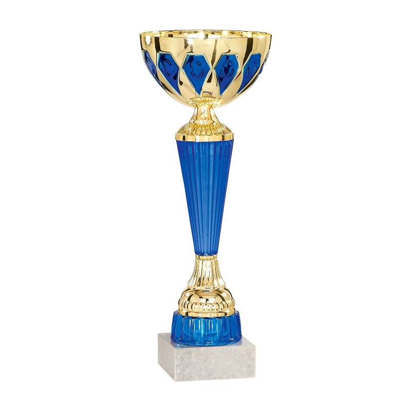 Coupe 24 cm, Déstockage à -40%