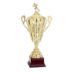 Coupe Personnalisée de 50 cm - Grand choix de sports