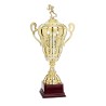 Coupe Personnalisée de 50 cm - Grand choix de sports