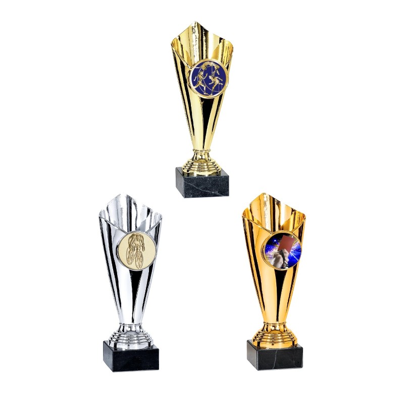 Coupe Personnalisée de 24 cm - Grand choix de sports