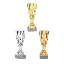 Coupe personnalisée de 24 cm -Clubs de sport !