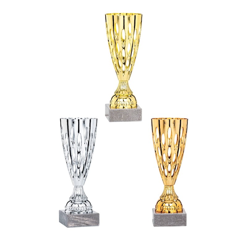 Coupe personnalisée de 24 cm -Clubs de sport !
