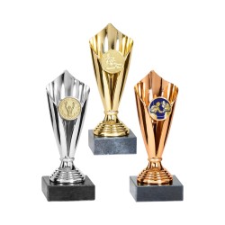 Coupe Personnalisée de 15 cm - Grand choix de sports