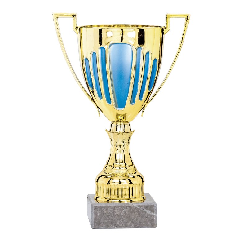 Coupe personnalisée de 21 cm -Clubs de sport !