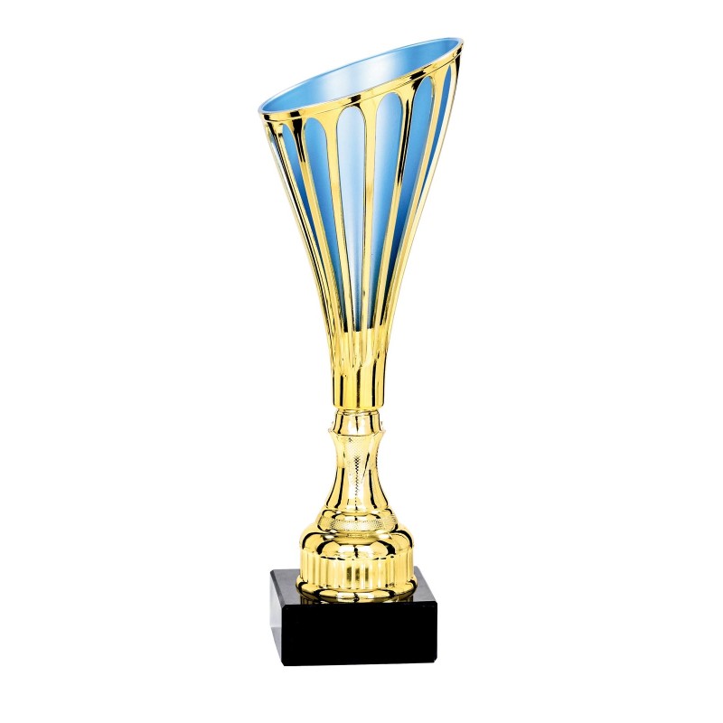 Coupe personnalisée de 28 cm -Clubs de sport !