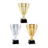 Coupe Métal personnalisée de 26 cm -Clubs de sport !
