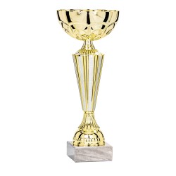 Coupe Métal personnalisée de 19 cm -Clubs de sport !