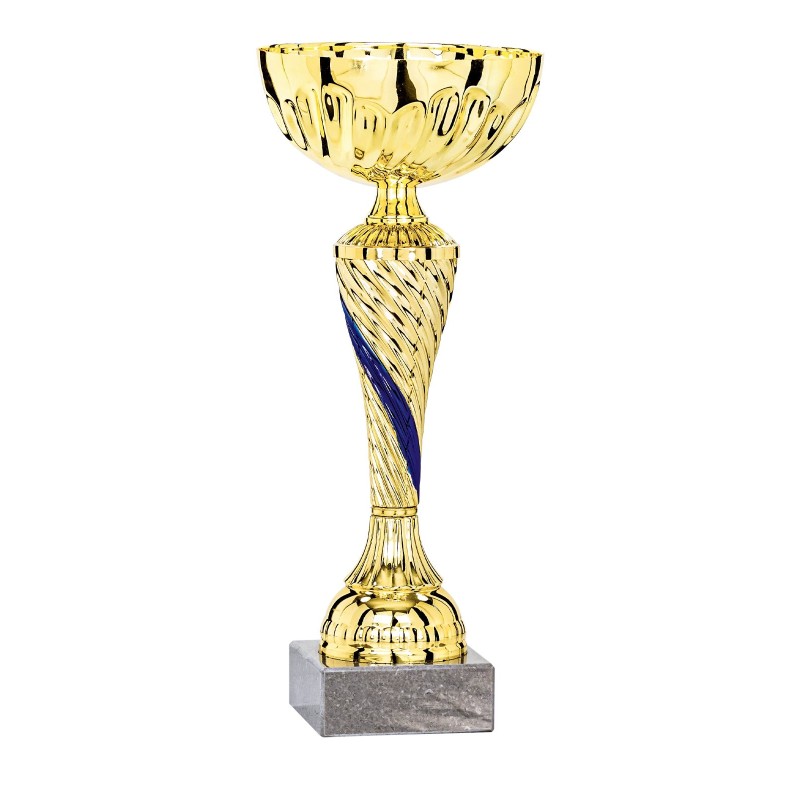 Coupe Métal personnalisée de 20 cm -Clubs de sport !