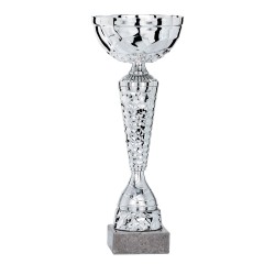 Coupe Métal personnalisée de 22 cm -Clubs de sport !