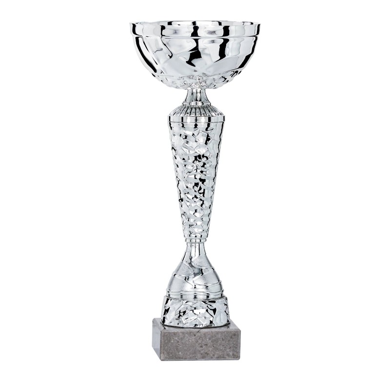 Coupe Métal personnalisée de 22 cm -Clubs de sport !