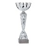 Coupe Métal personnalisée de 22 cm -Clubs de sport !