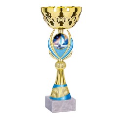 Coupe Métal Personnalisée - 25 cm - Grand choix de sports