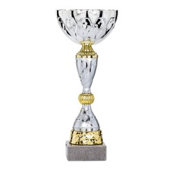 Coupe Métal personnalisée de 23 cm -Clubs de sport !
