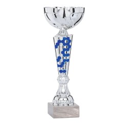Coupe Métal personnalisée de 25 cm -Clubs de sport !