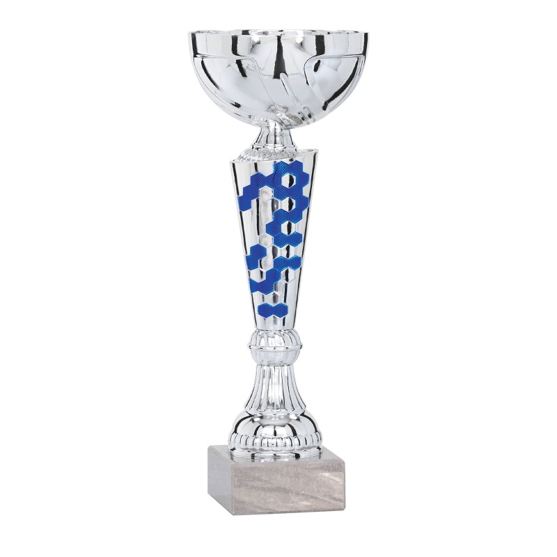 Coupe Métal personnalisée de 25 cm -Clubs de sport !