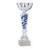 Coupe Métal personnalisée de 25 cm -Clubs de sport !
