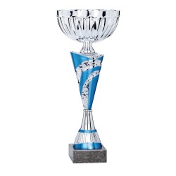 Coupe Métal personnalisée de 26 cm -Clubs de sport !