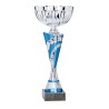 Coupe Métal personnalisée de 26 cm -Clubs de sport !