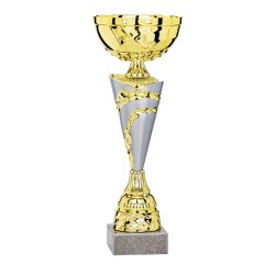 Coupe Métal personnalisée de 26 cm -Clubs de sport !
