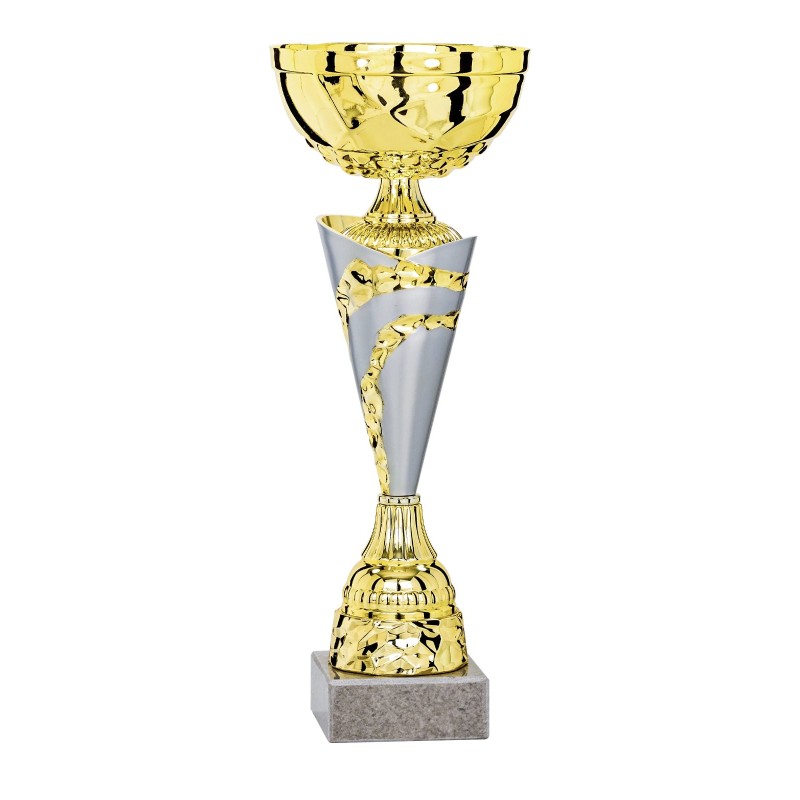 Coupe Métal personnalisée de 26 cm -Clubs de sport !