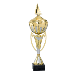 Coupe Métal Personnalisée - 36 cm - Grand choix de sports