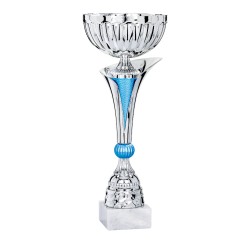 Coupe Métal personnalisée de 26 cm -Clubs de sport !