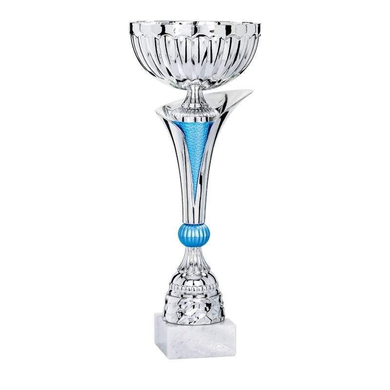 Coupe Métal personnalisée de 26 cm -Clubs de sport !