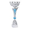 Coupe Métal personnalisée de 26 cm -Clubs de sport !