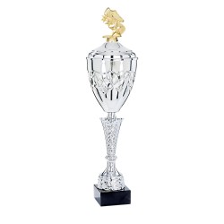 Coupe Métal Personnalisée - 44 cm - Grand choix de sports