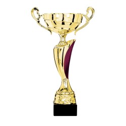 Coupe Métal "Classique" de 28 cm -Clubs de sport !
