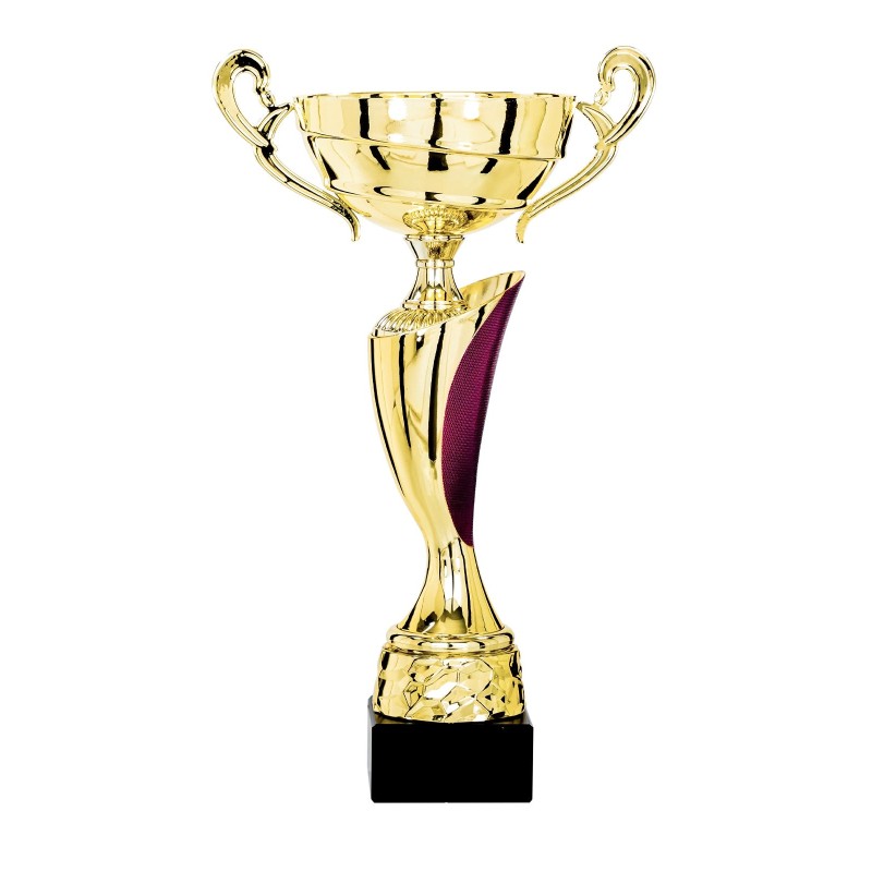 Coupe Métal "Classique" de 28 cm -Clubs de sport !