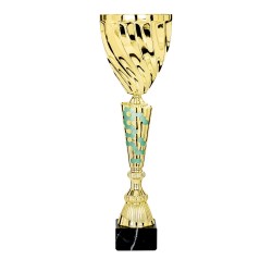 Coupe Métal "Classique" de 35 cm -Clubs de sport !