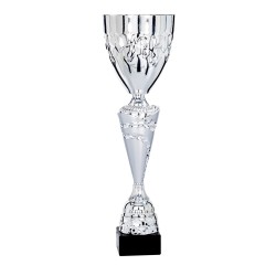 Coupe Métal "Classique" de 34 cm -Clubs de sport !