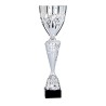 Coupe Métal "Classique" de 34 cm -Clubs de sport !