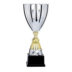 Coupe Métal "Classique" de 31 cm -Clubs de sport !